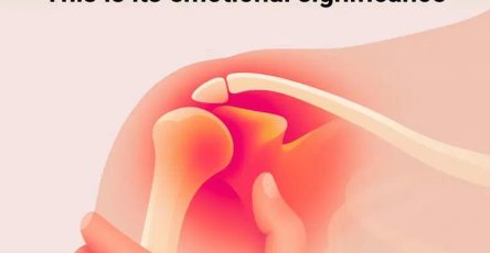 596556444 1417734326411929 4951226929258376117 n