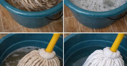 632297097 122313618770031745 6854634099733563411 n 1