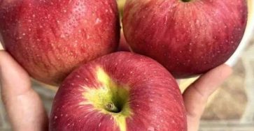 638237536 923879270120030 2199130007713892791 n