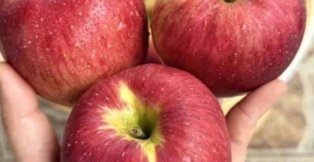 638237536 923879270120030 2199130007713892791 n