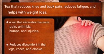 645416921 2654765668230807 8486152556700435942 n 2026 03 15T113522.691 (1)