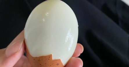 649548419 1488761715975856 3411768138949172680 n