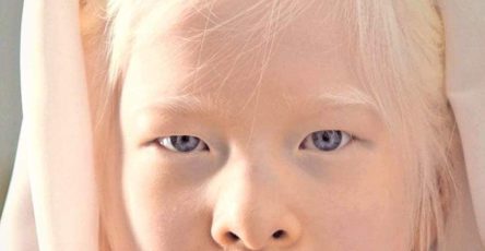 649968165 952120487379846 1147396746463855554 n (1)