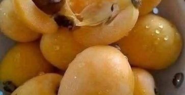 650186955 122096450589118485 3120740113214158336 n