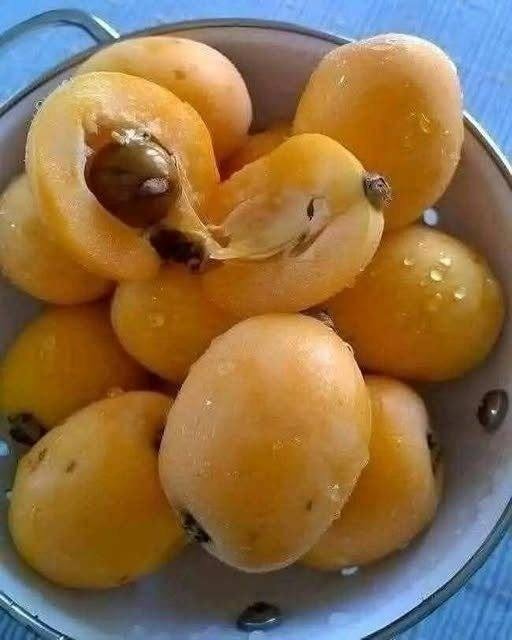 650186955 122096450589118485 3120740113214158336 n