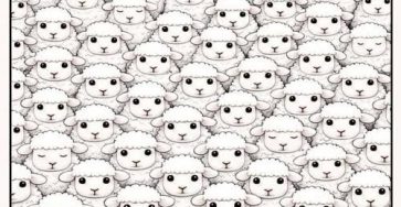 657391292 1259412732991368 415874194661676377 n (1)