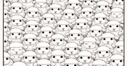 657391292 1259412732991368 415874194661676377 n (1)