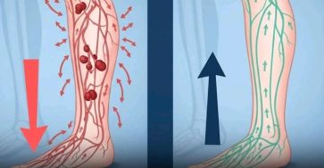 658878706 1499680582196953 950939255701233958 n