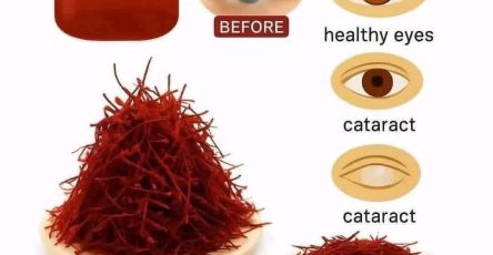 661359327 4474485649542927 7792555188719474276 n