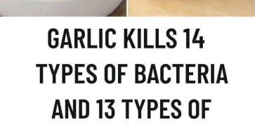 662679071 4475952462729579 3469790665286166262 n