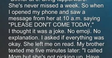 667626100 1600365107915735 1754250331487194787 n