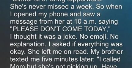 667626100 1600365107915735 1754250331487194787 n