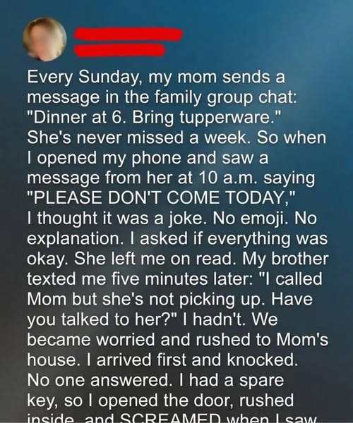 667626100 1600365107915735 1754250331487194787 n