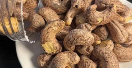 667787921 2744474082572825 5980703726721880104 n