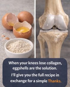 670677632 122294620928073041 5420637568906091002 n