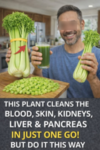 671493791 947841254888661 8832304328861969447 n