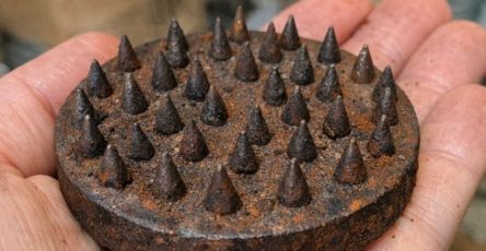 676201295 122196196796521528 6569747637810311968 n