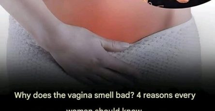 91c20525 382c 4a0b 9549 f089bb190bad