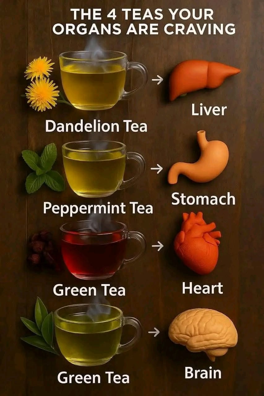 WhatsApp Image 2025 09 11 a 16.31.21