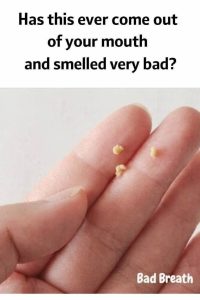 WhatsApp Image 2026 03 06 at 02.57.21