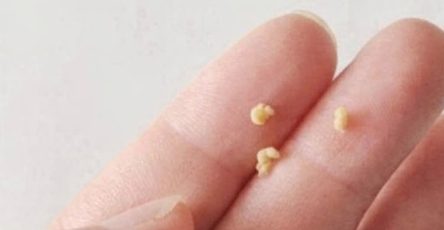 WhatsApp Image 2026 03 06 at 02.57.21