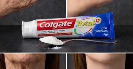 B343c678 0a0b 4bad 94a1 f1f47bd8d7f4