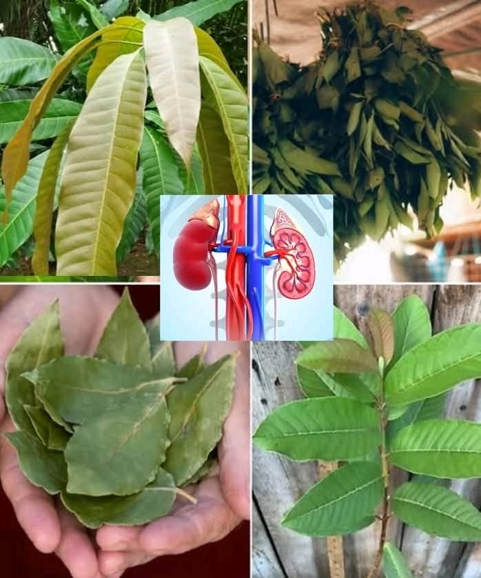 C72b79d5 aaa8 4b78 b53d 89229f0b1fa4