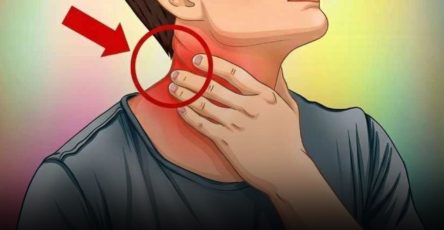 D7e52a29 4eff 44f5 bdcf 2315bbf4a281