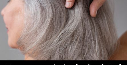 Ss1f81aea36b4f043ad7 copy 758x416 6 1 taha 2 taha taha 2 185