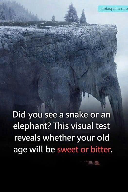 559