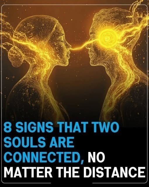 6001319487757552800