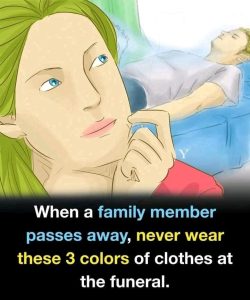 6028580486998854842