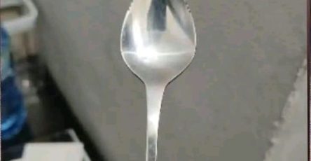 690919538 1482270623261587 301231450676388173 n