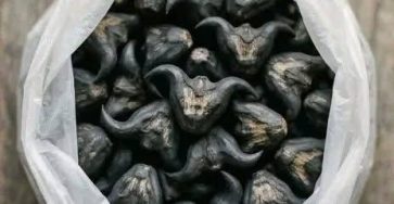 701123431 122197700780470671 4230826948309959232 n