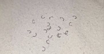 701311834 952335690745954 4606849379154788054 n