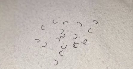 701311834 952335690745954 4606849379154788054 n