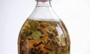 IMG 1008 768x464