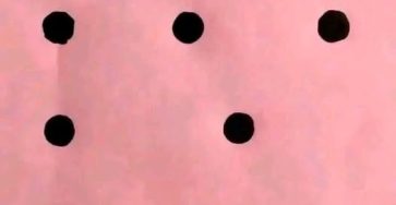 650265775 122095169073025596 3231062000653155218 n