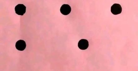 650265775 122095169073025596 3231062000653155218 n