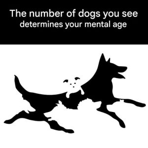 658133611 1698444991577431 8029467091614116531 n