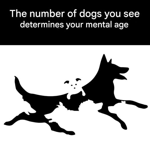 658133611 1698444991577431 8029467091614116531 n