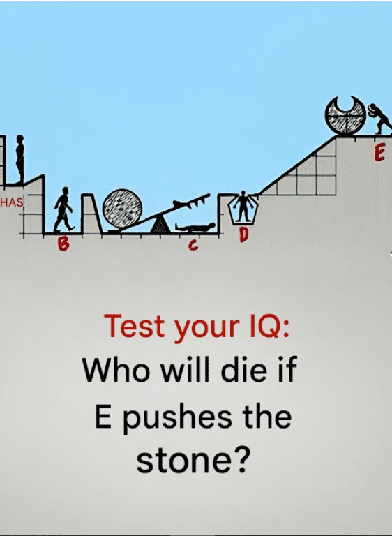 663233388 952651060489449 8409834946063174839 n