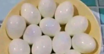 707348818 122274140234157339 7191905461545363520 n