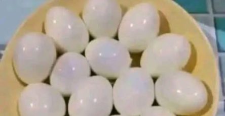 707348818 122274140234157339 7191905461545363520 n