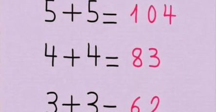 716762727 1531939191630084 3221805980832665032 n