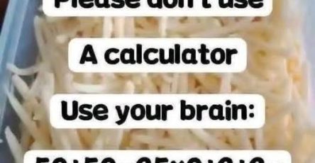 720207597 2525137484606980 6613952858241330868 n
