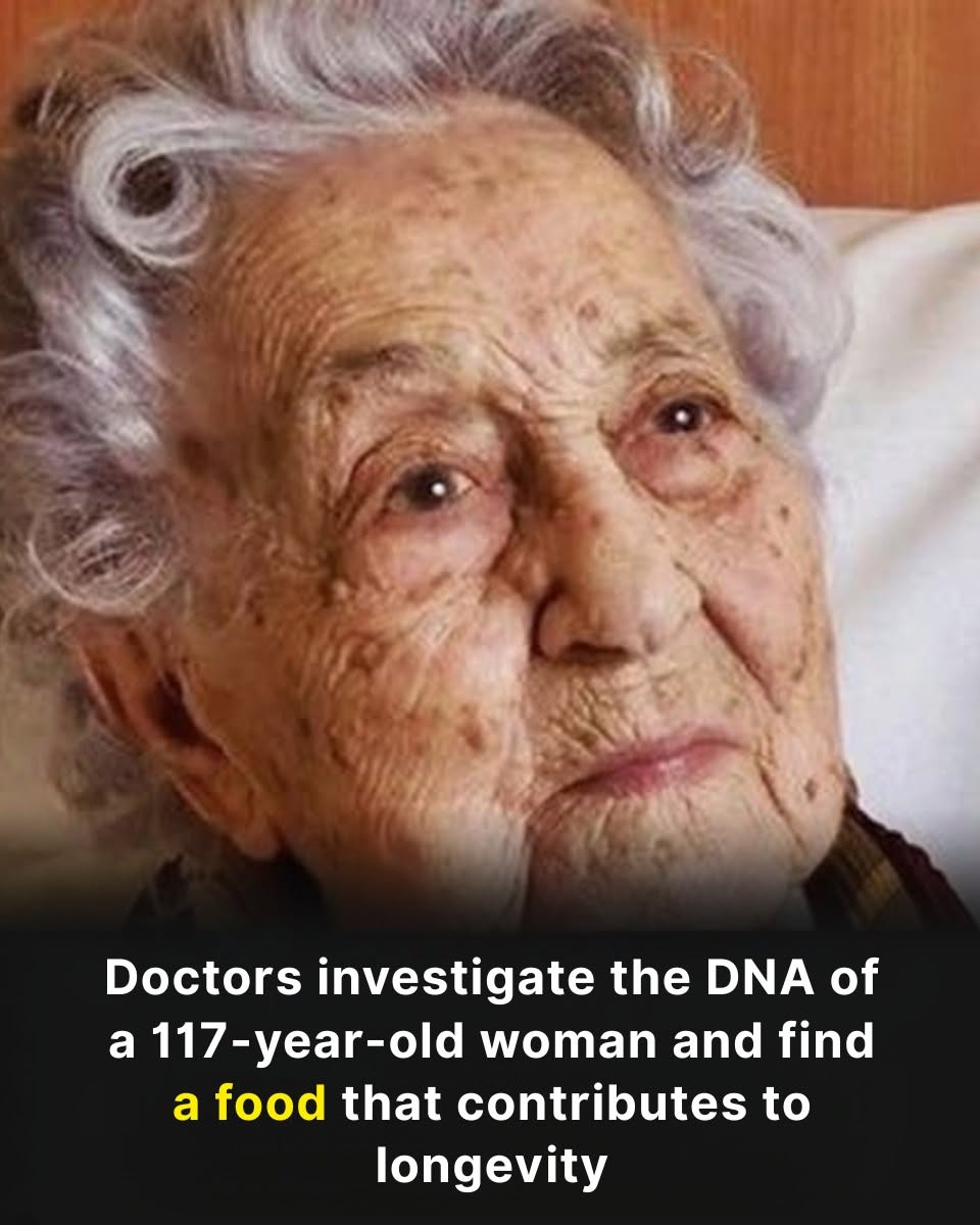 662739639 945246235146081 3536321446404363857 n