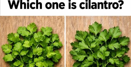 739866623 1086934890376847 4014973729248025444 n