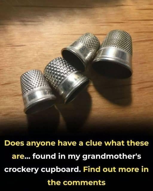 749132938 1521378576137534 7756690442483219386 n
