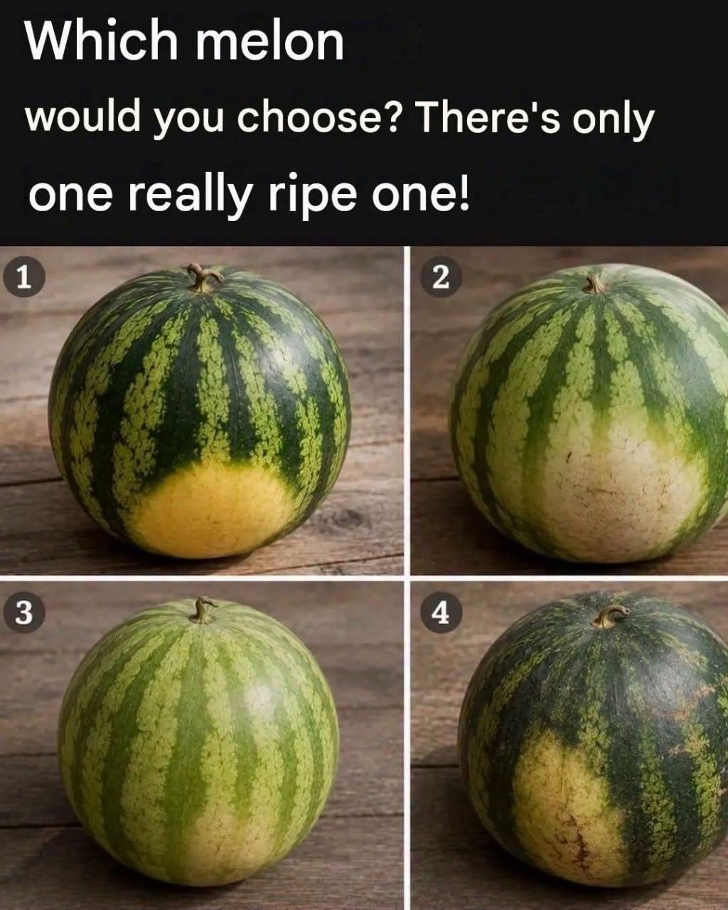 1533